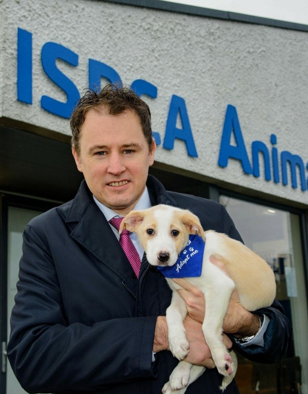 €3.7m announced for animal welfare organisations