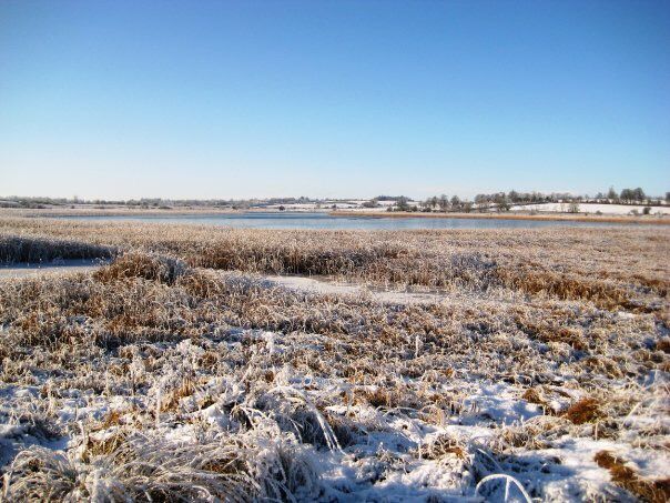 Status Yellow warning: Sub-zero temperatures set in this evening