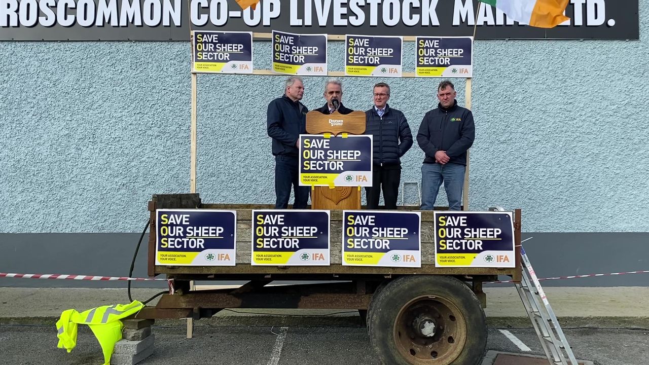 '€12/ewe payment acknowledged as being too small'