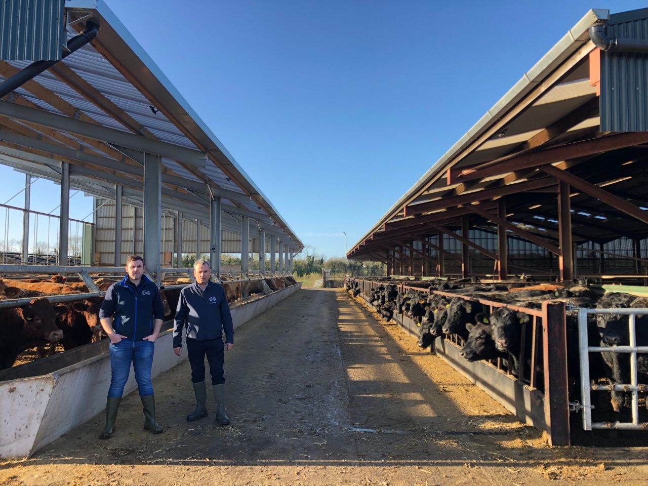 Video: Foyle cattle finishing unit and 1,100ac research farm