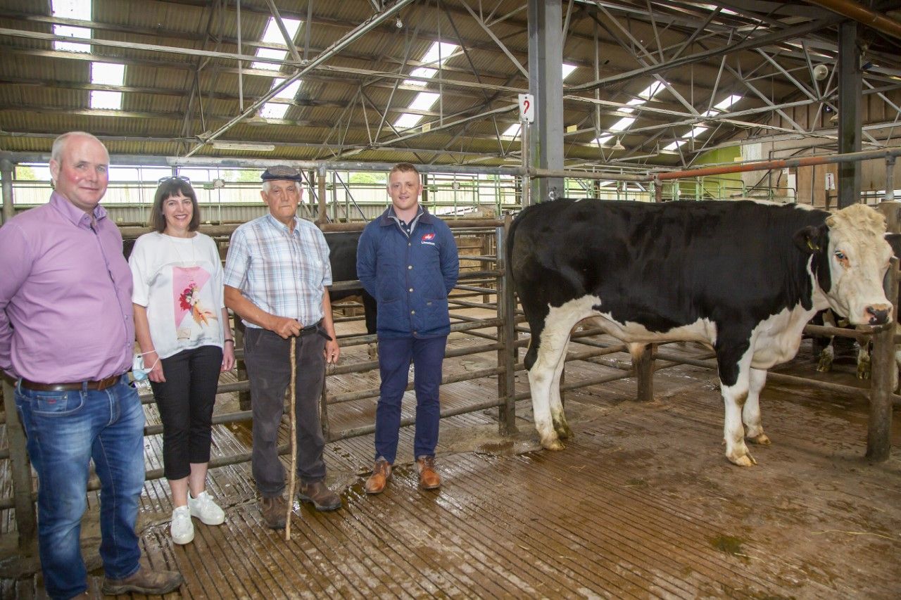 Bullock sale results in over €7,000 raised for cancer services