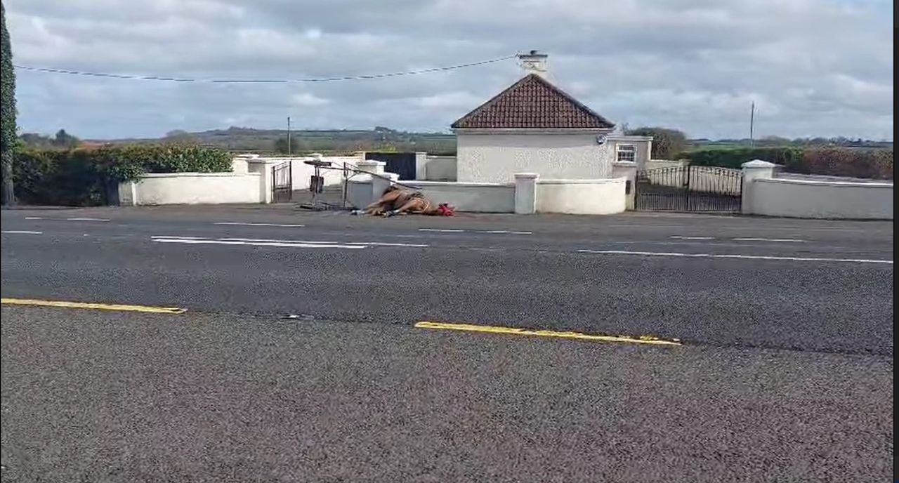 Gardaí conduct enquiries following death of a horse in Limerick