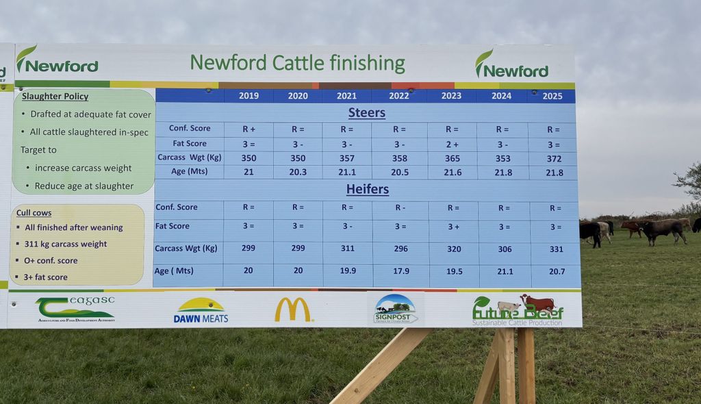 Cattle finishing performance on the farm
