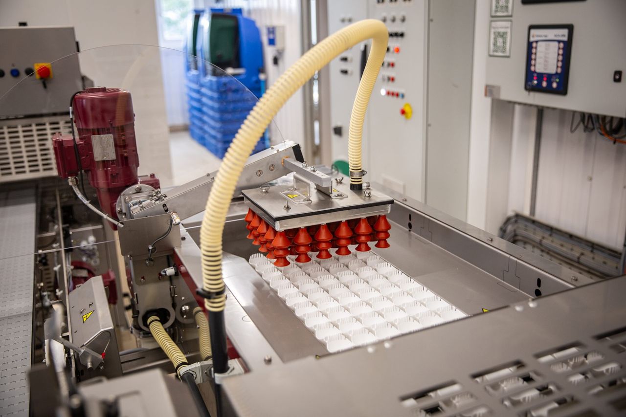 Egg-production tour in the Netherlands opens for applications tomorrow