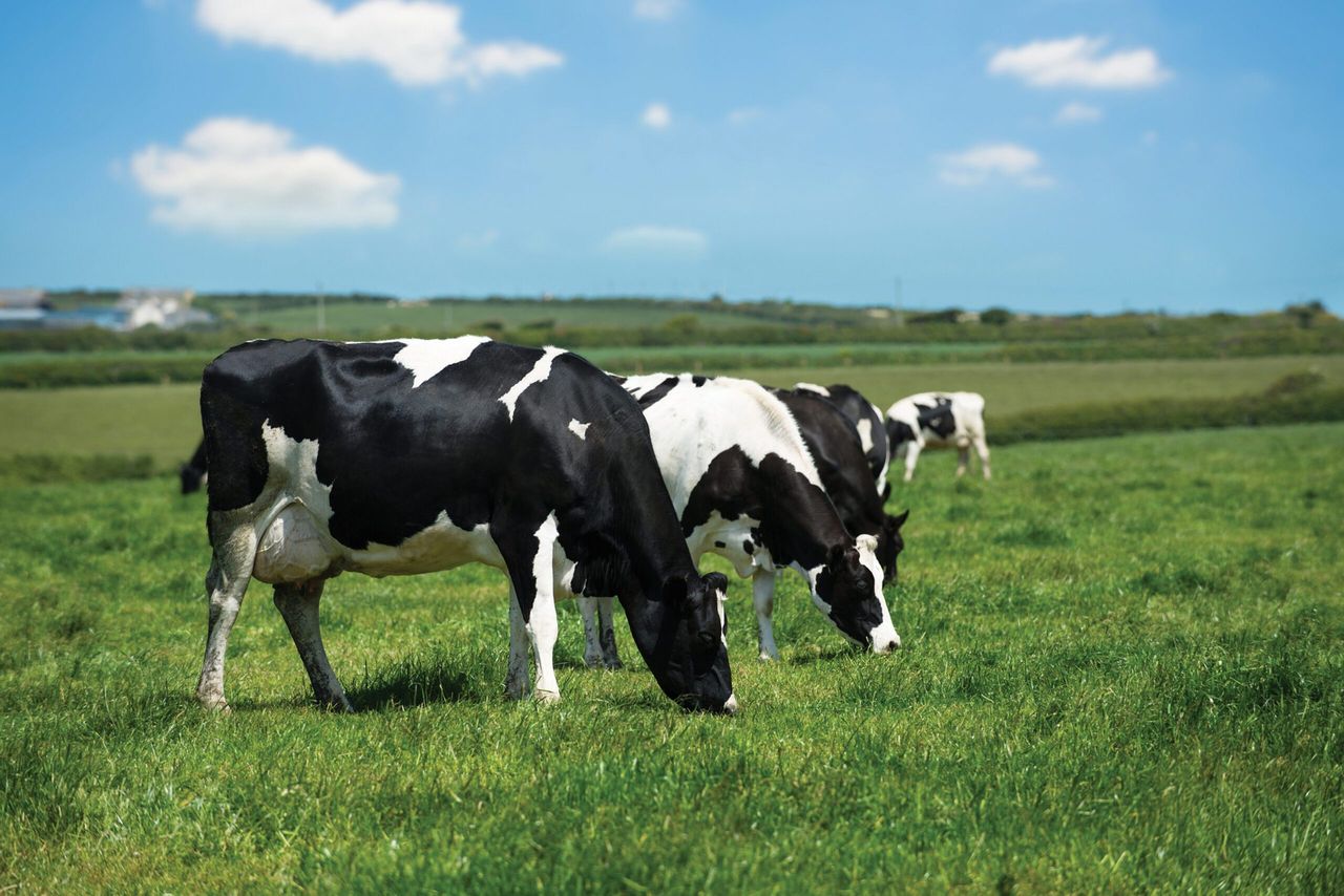 Teagasc appoints new manager in Kerry and Limerick advisory region