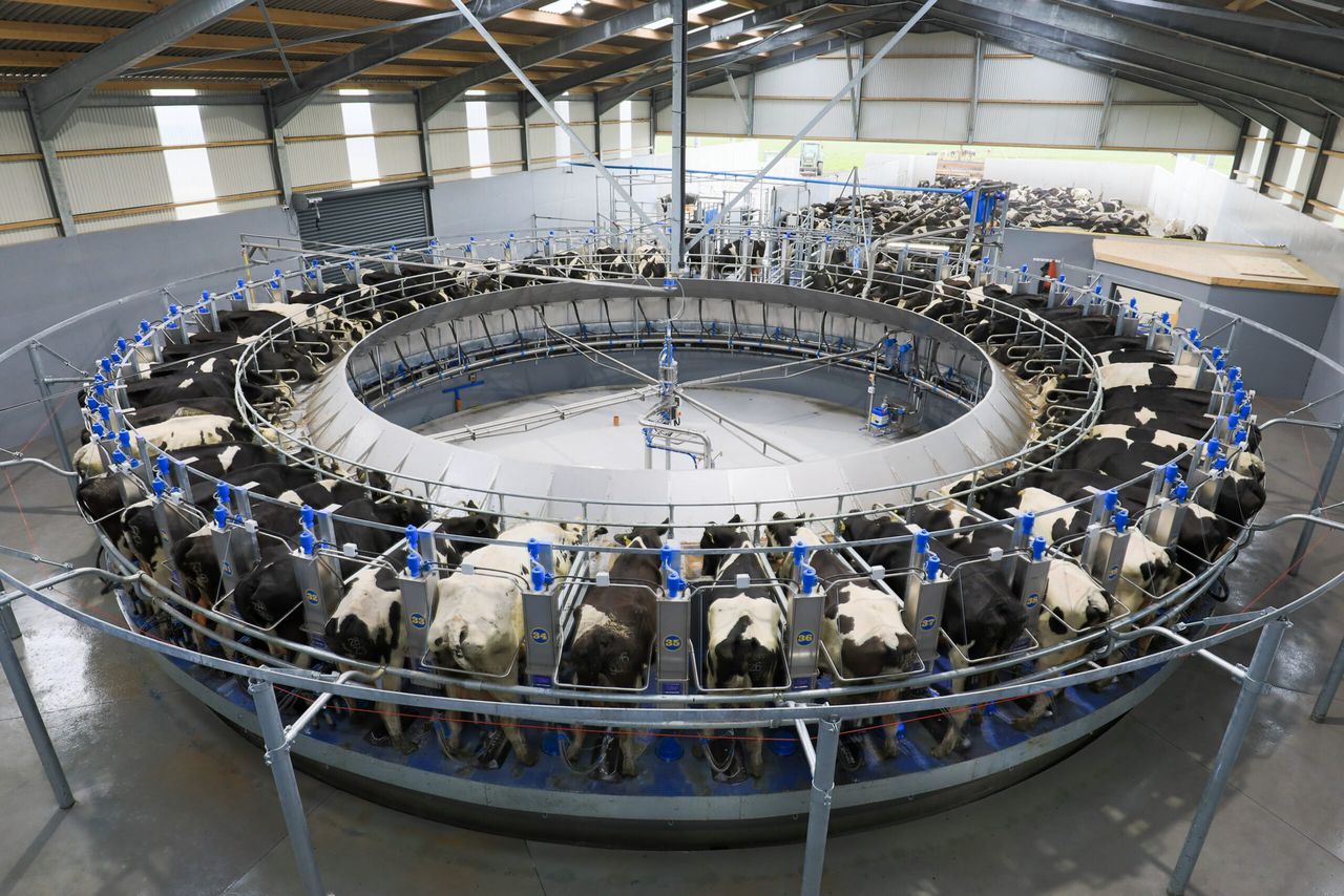 'We only need 2 dairy processors' - leading food analyst