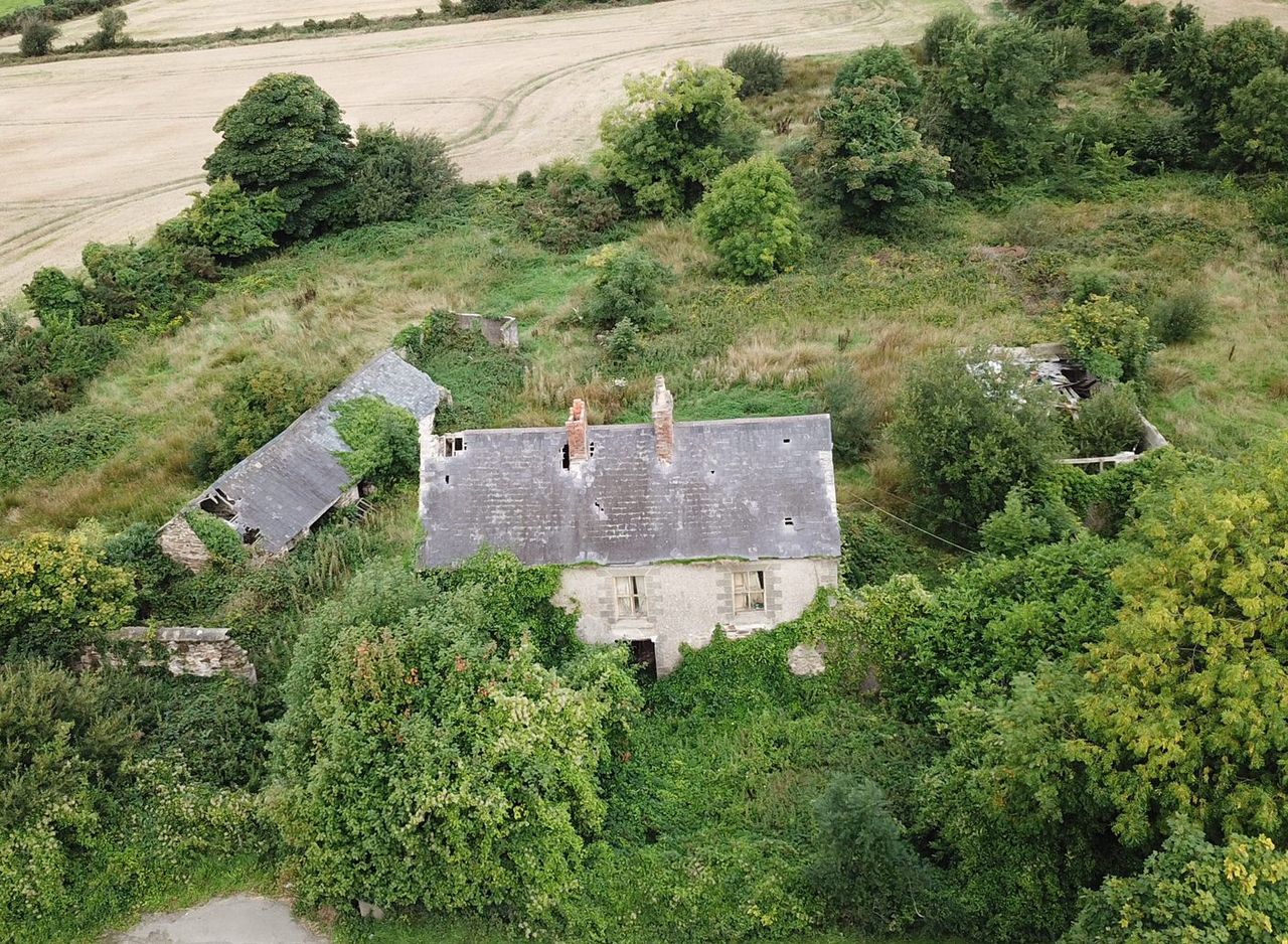 'Well-located' 39ac with derelict house for sale at Oulart