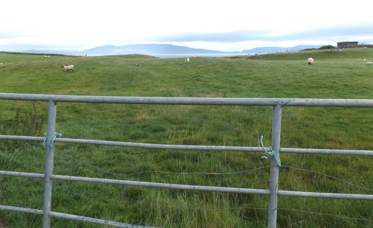 Members of the public urged not to enter farms for 'leisure activities'