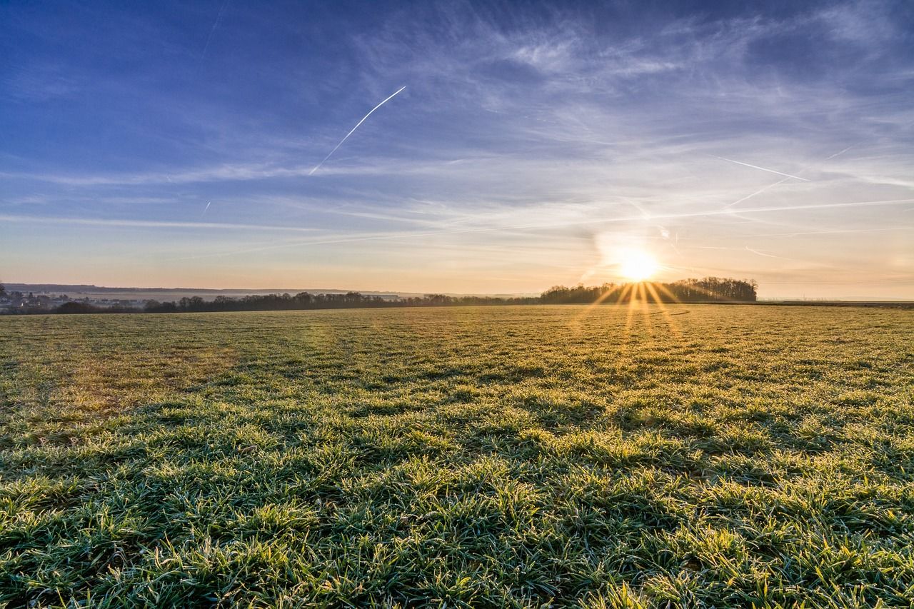 What does new CSO data say about farm size in your county?