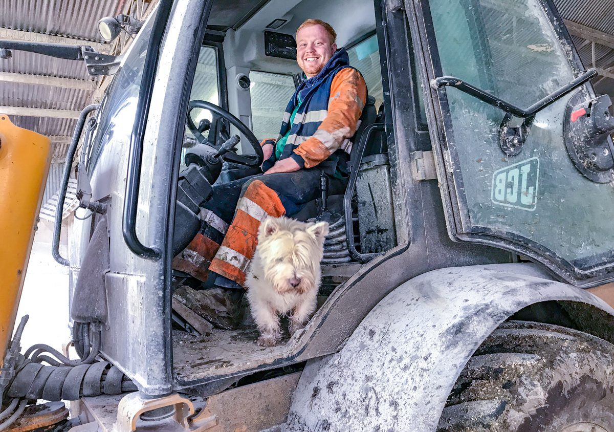 Tillage focus: Growing seed and selling feed on a Co. Tipperary farm