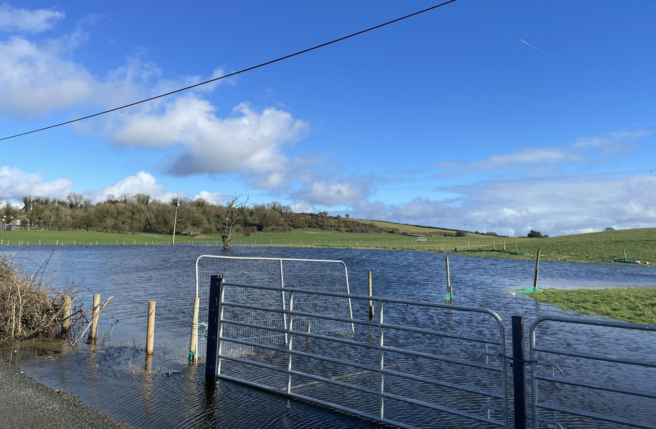 Long-term flooding solution for Lough Funshinagh to be delayed
