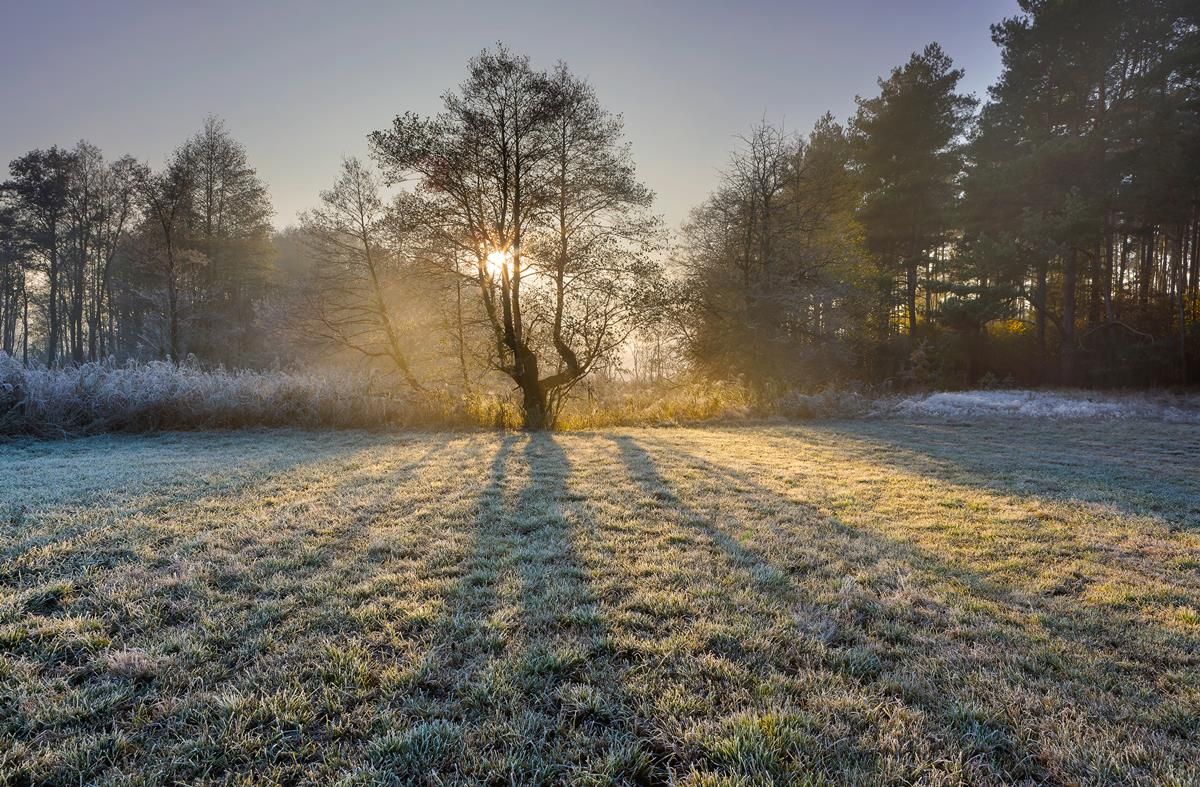 Cold this weekend but dry weather is on the way - Met Eireann