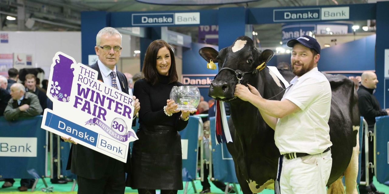 Winter Fair: Crowds flock to Ireland's largest dairy show - follow the action as it happens