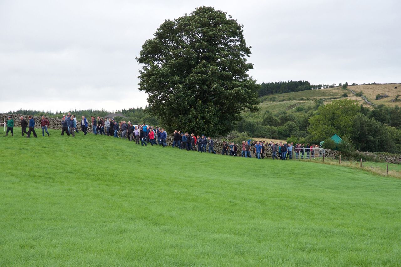 Tipperary farm to host Bord Bia and Teagasc KT Farm Walk