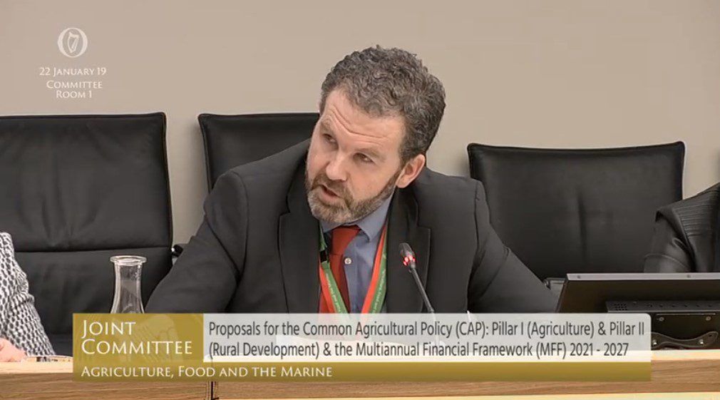 Time ticking for Irish CAP plan as negotiations continue