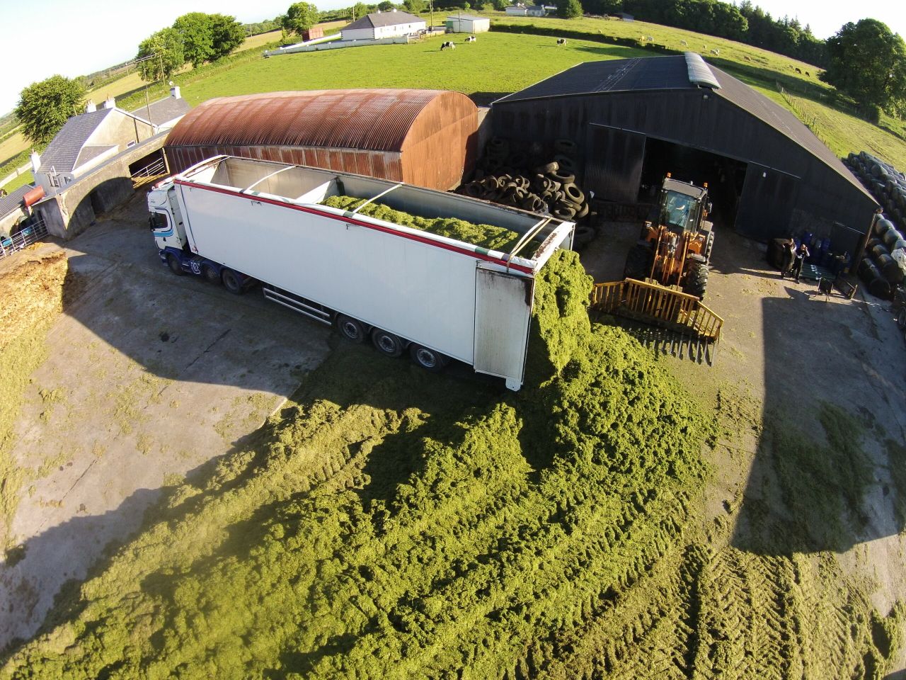 Video: Artic trucks called in to help with 35km silage draw