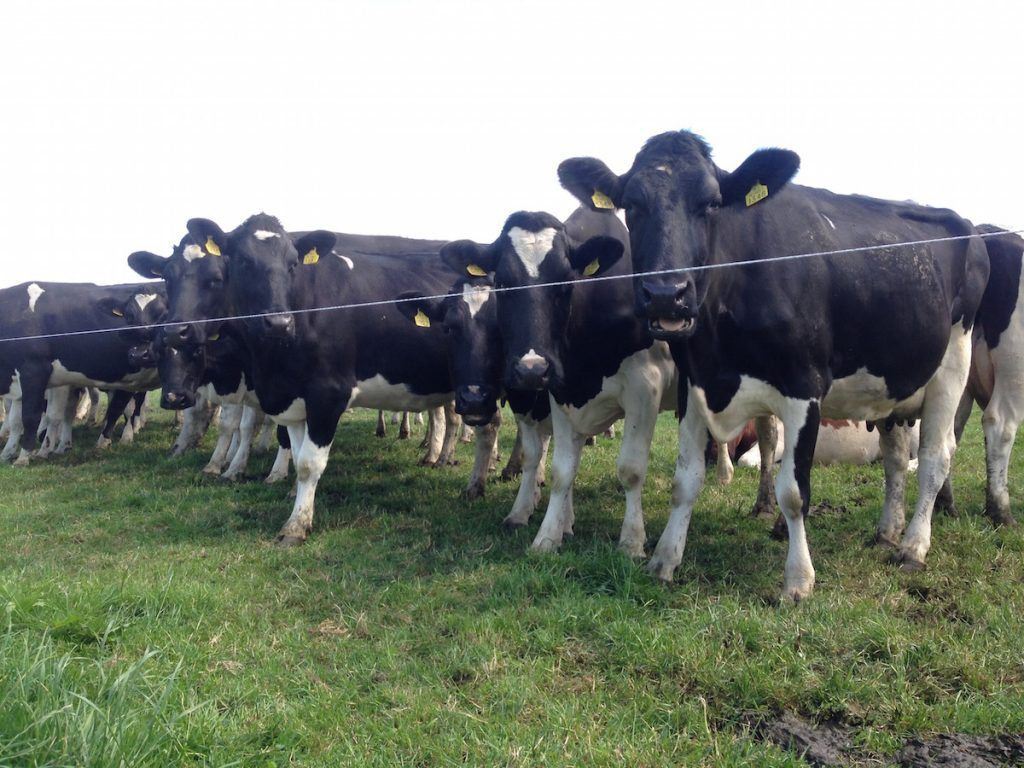 Handing the farm over - whilst still in your 50s