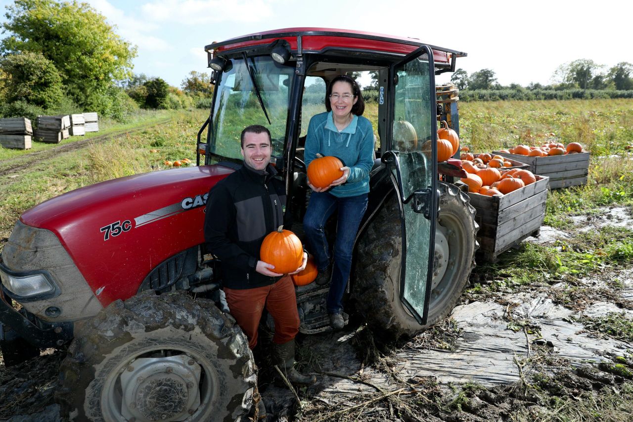 5 things anyone contemplating growing pumpkins needs to know