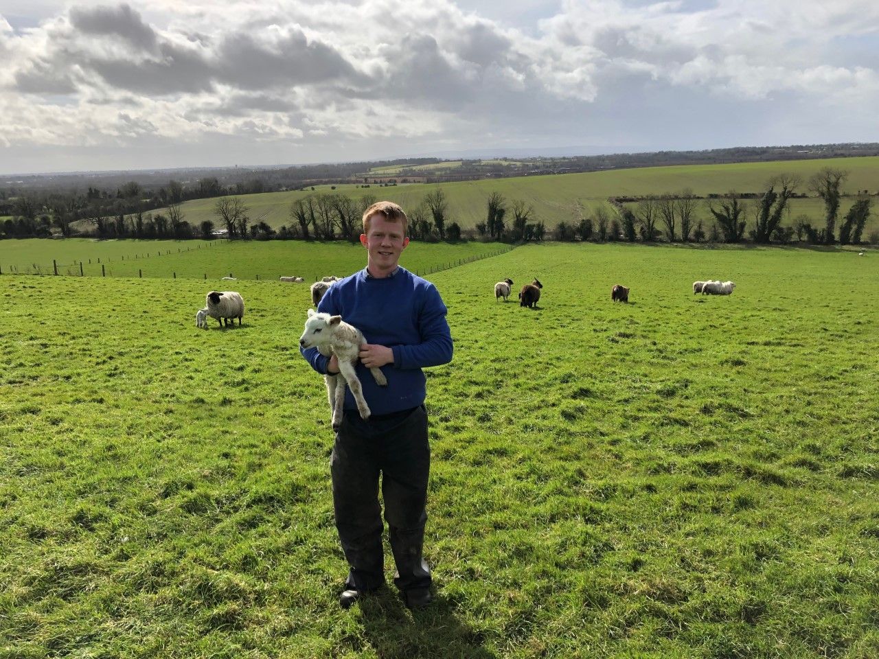 Sheep focus: 'It was a safer option - financially - investing in ewes rather than cattle'