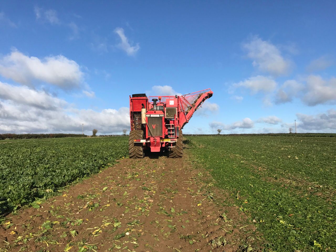 Positive reaction to beet...ambitious target set