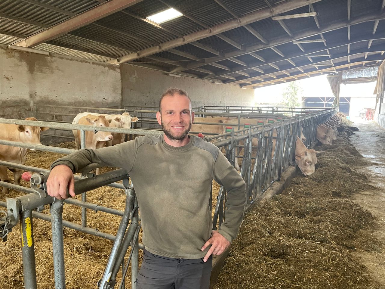 Beef Focus: Bull beef on a 120-cow Blonde d'Aquitaine farm in France