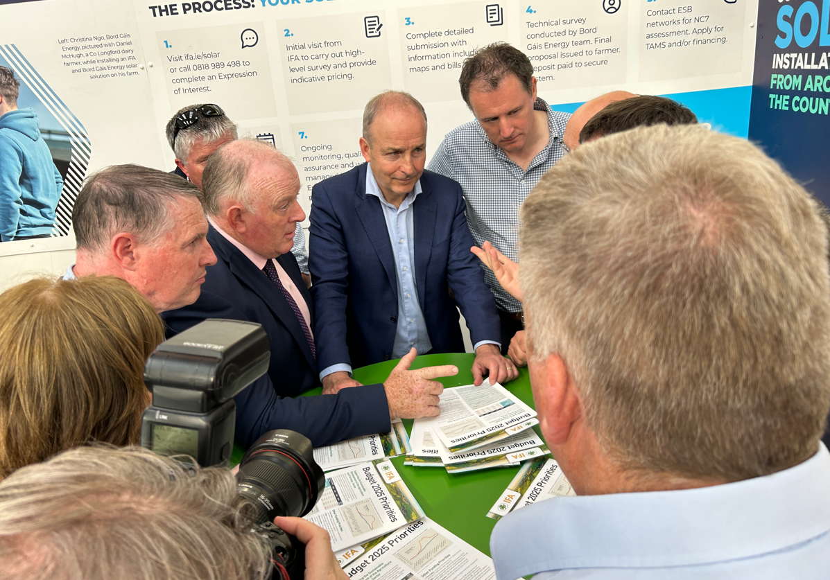 Tánaiste: Budget 2025 will be 'farmer friendly'