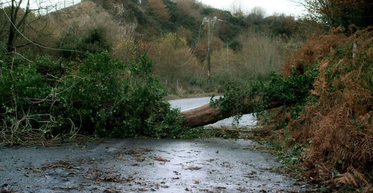 ESB urges people to prepare for loss of power during Storm Amy