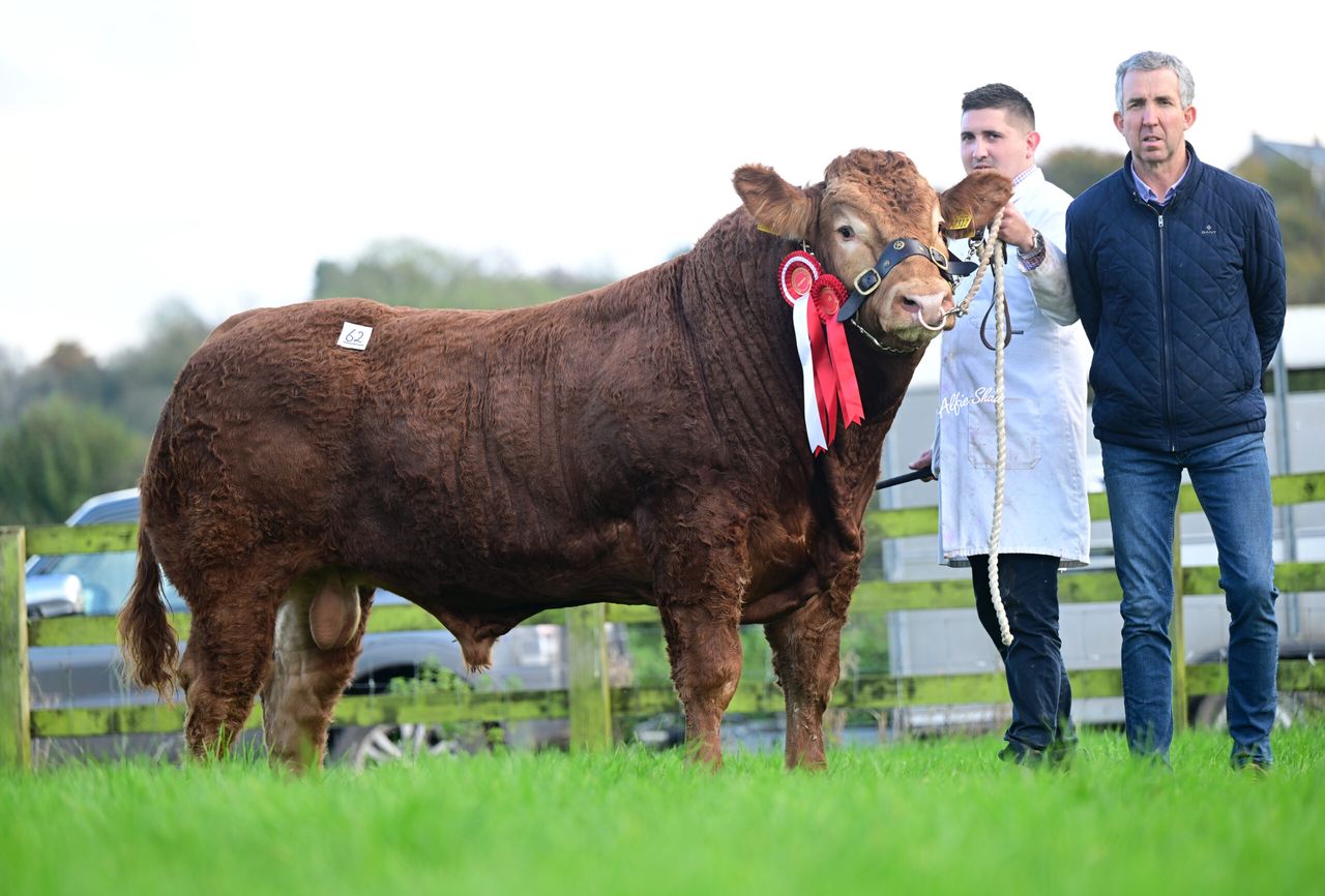 Kenny's Carrefour Turbo takes top price at Limousin premier