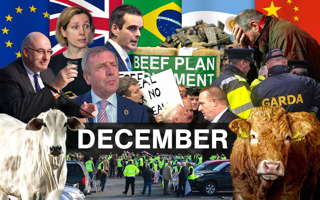 Beef Industry Review: December