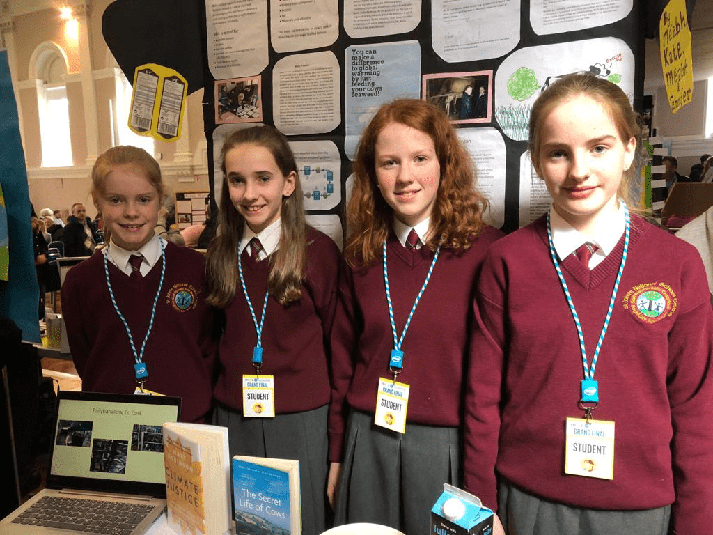 Clare pupils win Intel award for ‘Cows, The Good, the Bad, and the Ugly’ project