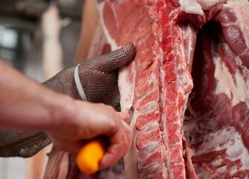 'Employees in meat and dairy processing plants must be tested for Covid-19'