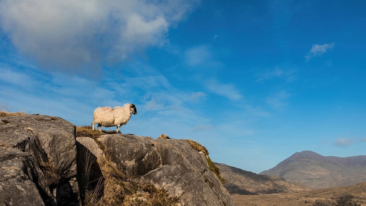 INHFA calls for dedicated research into farming in uplands