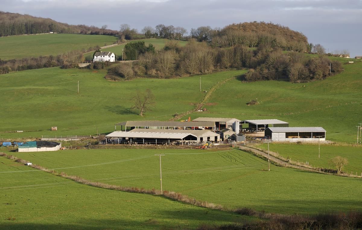 'Simplistic' metrics 'risk human health, climate action and farm income'
