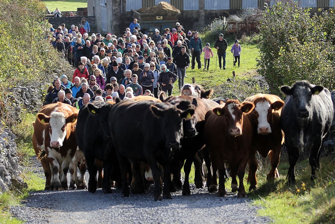 Burren Winterage Weekend offers packed programme