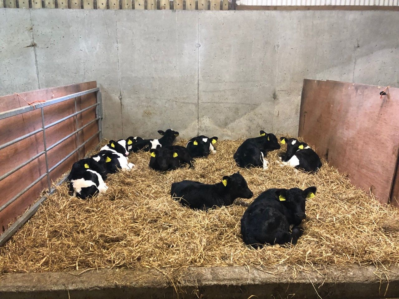 The importance of getting ventilation right this spring