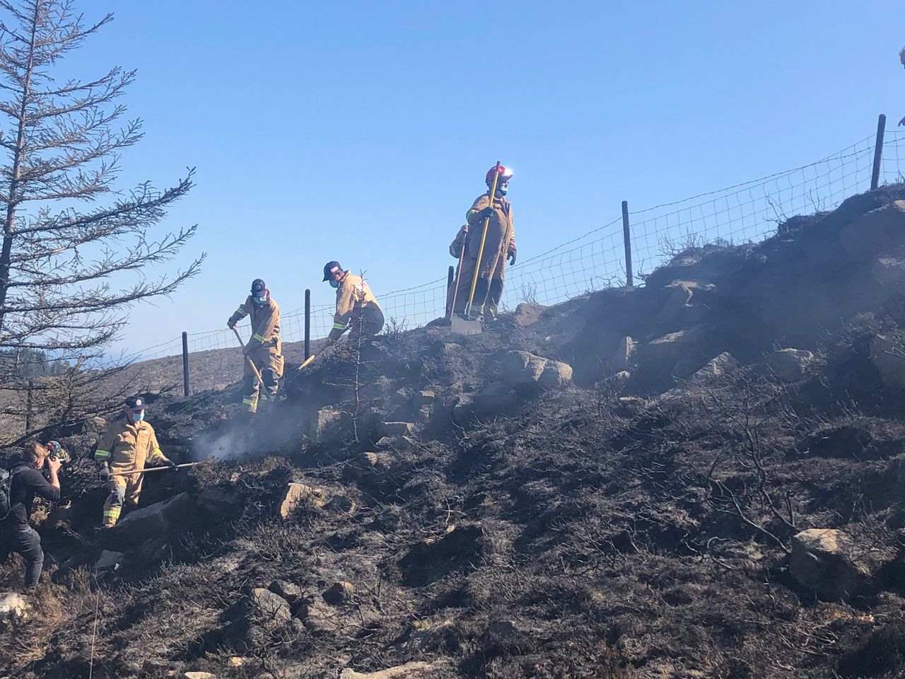 Impact of over and under grazing to be reviewed in wildfire impact report