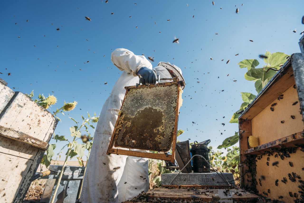 Further searches in beekeeping fraud investigation in Romania