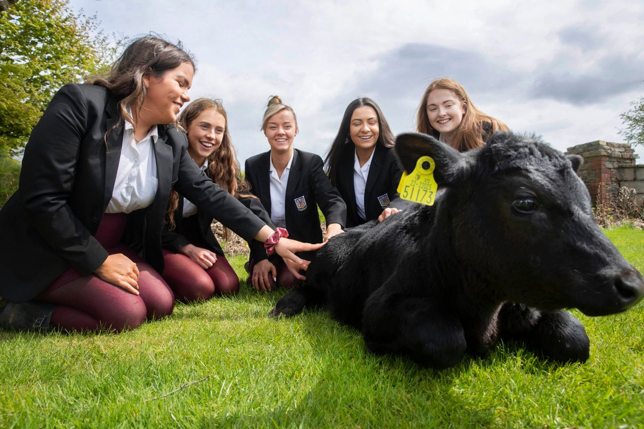 Non-farming students scoop top award at Certified Irish Angus competition