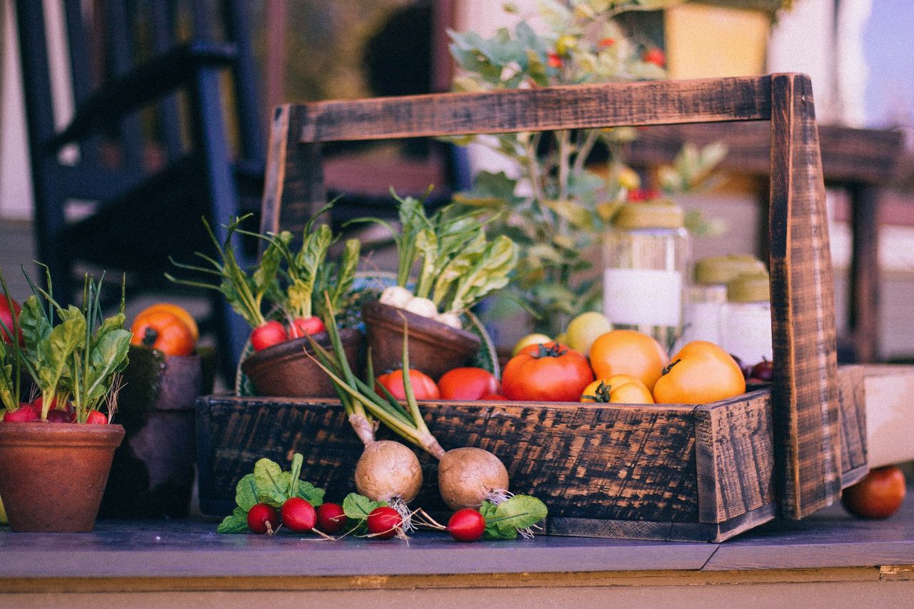 65% of agri-businesses plan price increases as costs rise - report