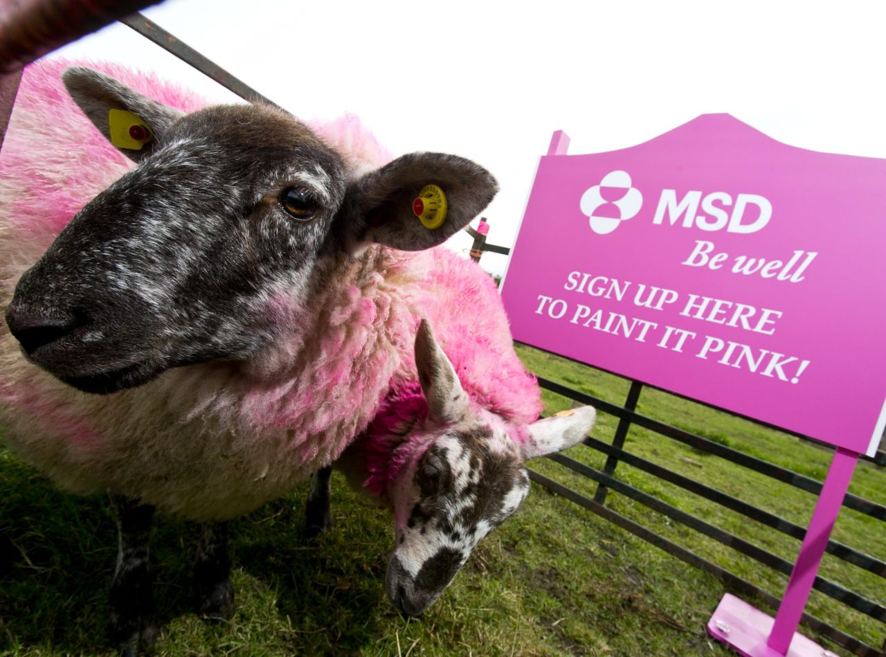 Farmers asked to pick up a paint brush to help raise cancer awareness