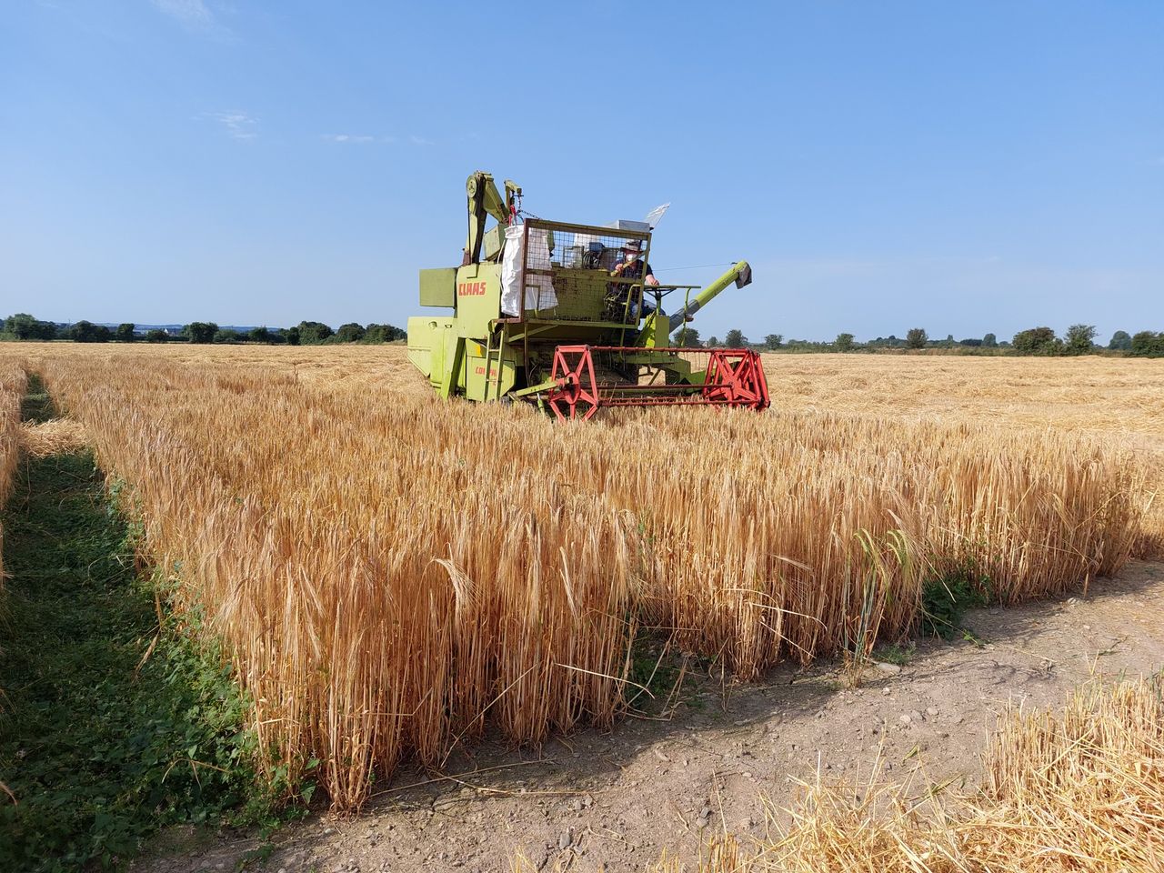 Tillage: The 2024 winter barley harvest is underway