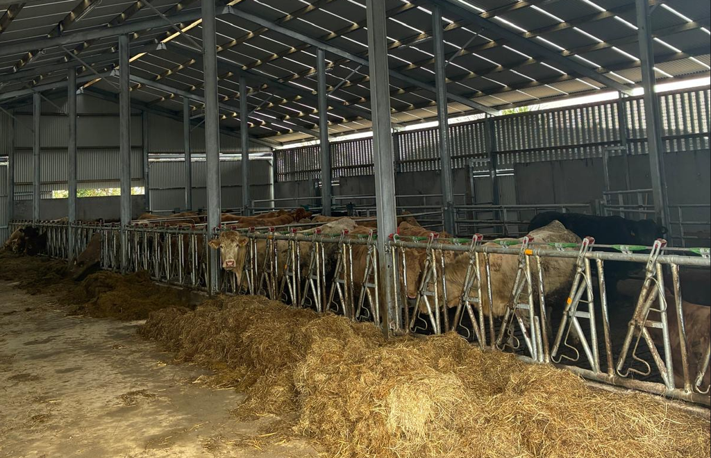 The new shed on the farm