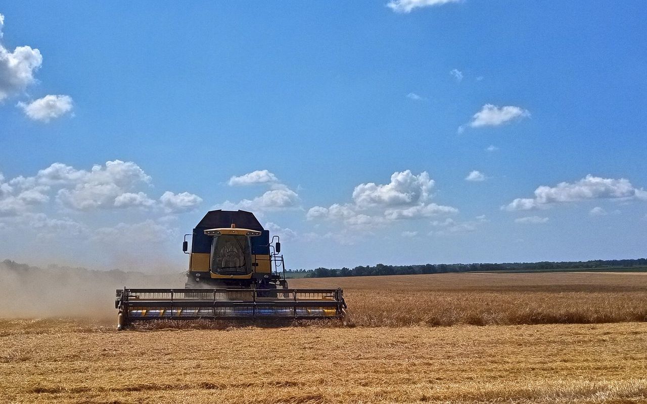 Ukraine and Poland strike deal to allow movement of grain