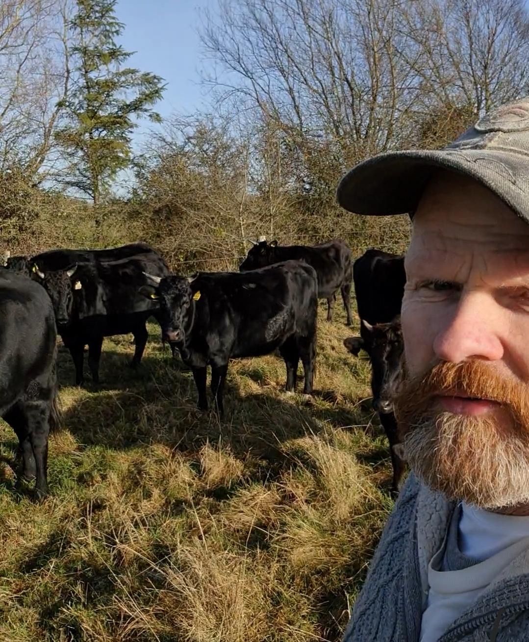 Laois farmer swaps Wagyu herd for health and wellness centre