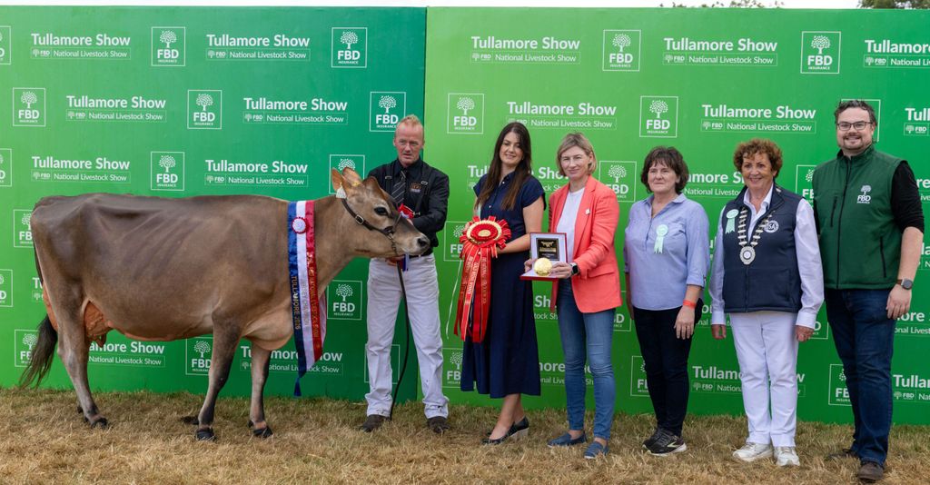 The Jersey champion was owned by Peter Hynes from Co. Cork. Source: Alf Harvey