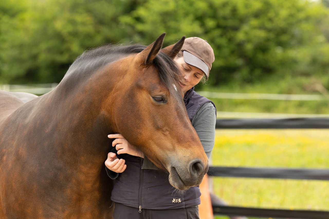 Equine-assisted mental wellbeing support on offer for farmers