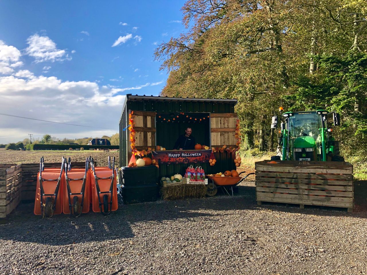 Video: Growing pumpkins at Ballymad Farm in Meath