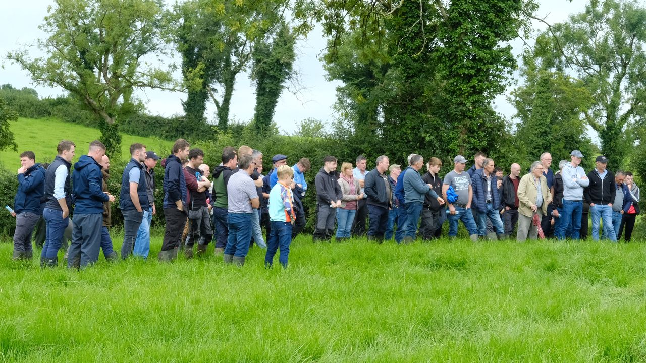 'I cull all empties, even the good cows' - Cavan dairy farmer