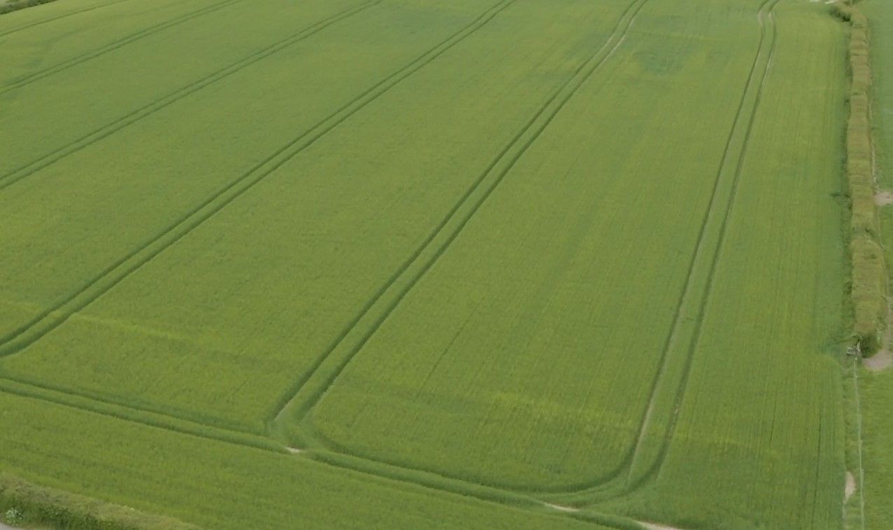 Controls for Protein Aid Scheme to reduce on-farm inspections