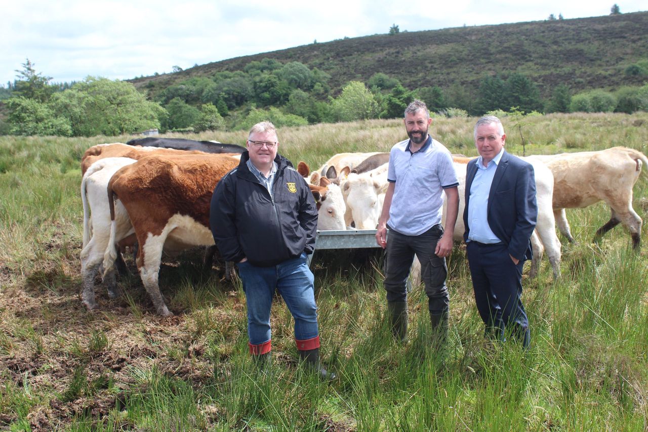 Rising cost of NI Farm Sustainability Payment entitlements criticised